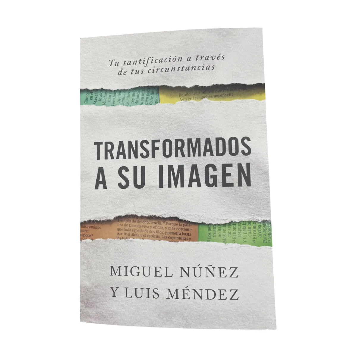 Portada del libro Consejería bíblica de Miguel Nunez y Luis Méndez
