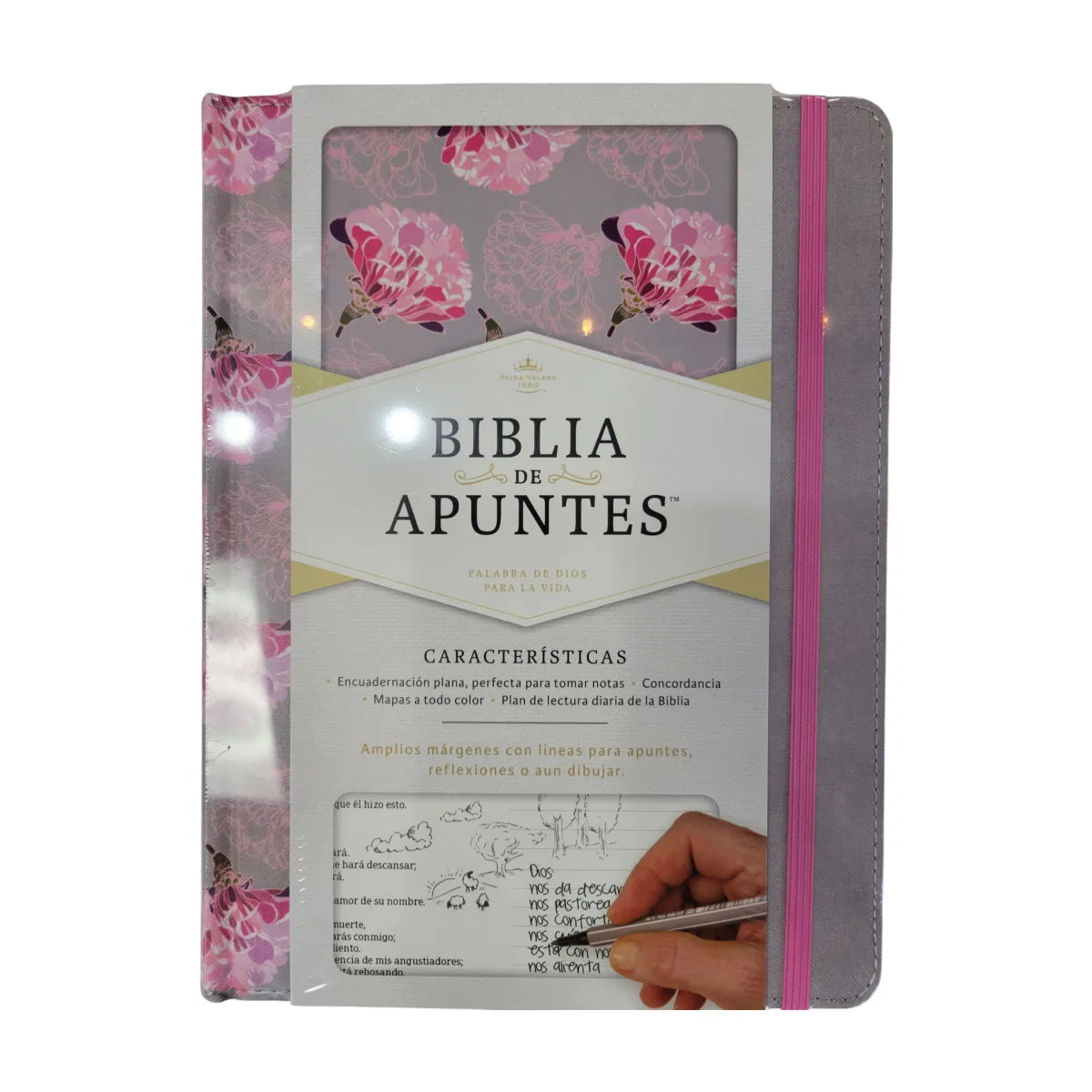 Biblia de Apuntes RVR09 Génesis de Cántaro Institute