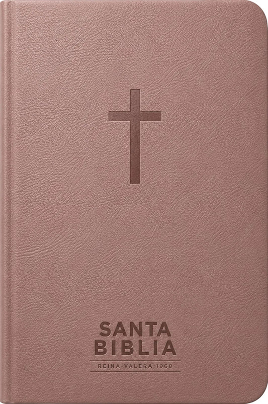 Santa Biblia RV 1969 con portada de color rosa
