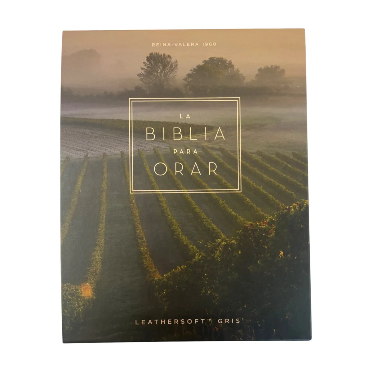 La Biblia para Orar RVR60 Gris