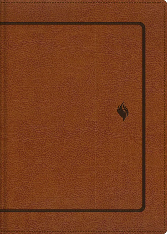 Biblia Vida Plena RVR 1960 de tapa marrón, editorial Vida