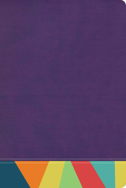 Biblia de Estudio Arcoíris, RVR60 morado/multicolor