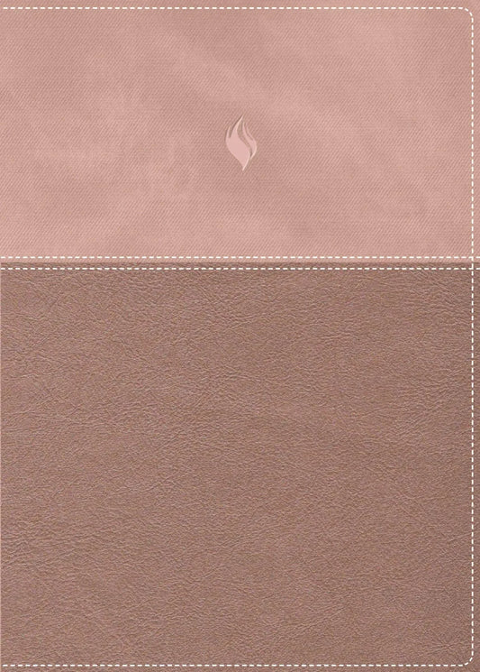 Biblia Vida Plena con cubierta color Rose Gold, edición RVR 1960