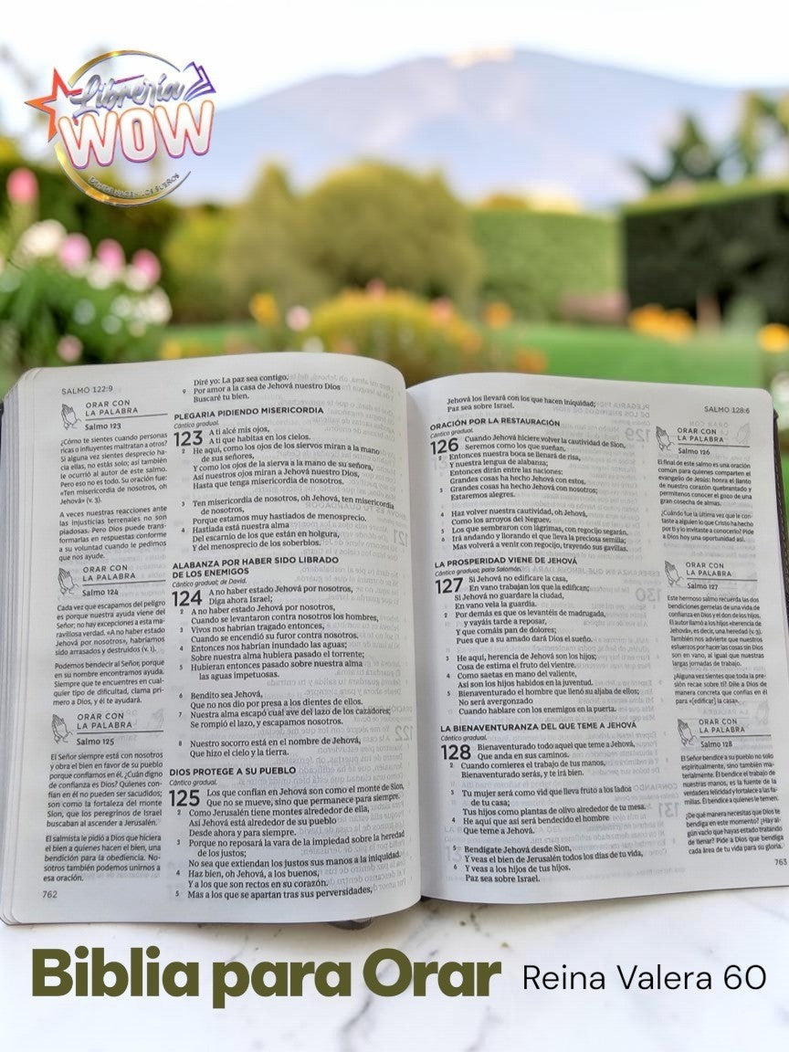 Biblia Para Orar de Libreria Wow con texto en español, diseño de interiores con columnas y encabezados dorados